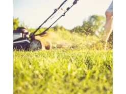 Aspen 4-Takt-Gemisch Sonderkraftstoff 1 l