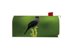 Banjado Amerikanischer Briefkasten Weiß 48x22x16cm US Mailbox Letterbox Postkasten Stahl Pulverbeschichtet Motiv Vogel Auf Tannenzweig