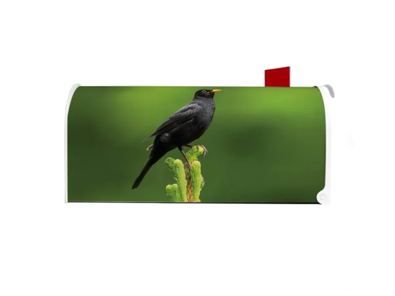 Banjado Amerikanischer Briefkasten Weiß 48x22x16cm US Mailbox Letterbox Postkasten Stahl Pulverbeschichtet Motiv Vogel Auf Tannenzweig