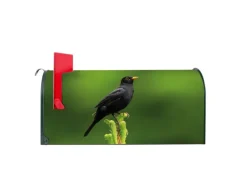 Banjado Amerikanischer Briefkasten Grün 48x22x16cm US Mailbox Letterbox Postkasten Stahl Pulverbeschichtet Motiv Vogel Auf Tannenzweig