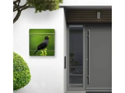 Banjado Briefkasten Edelstahl 38x43x12.5cm Rostfrei Mit Zeitungsfach Mit Motiv Motiv Vogel Auf Tannenzweig