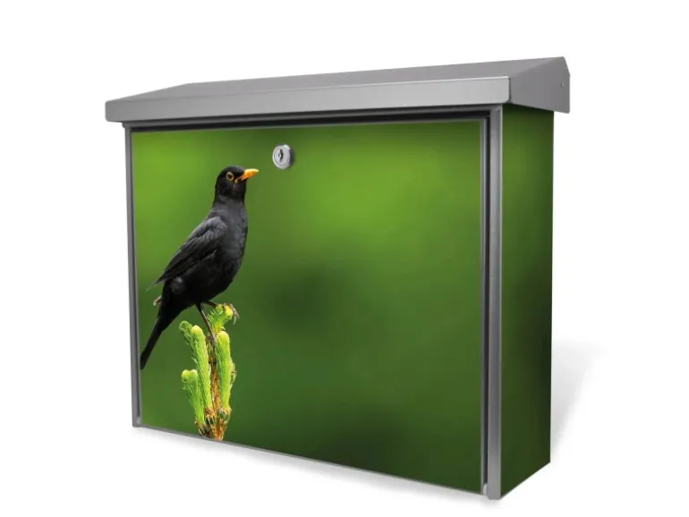Banjado Briefkasten Edelstahl 38.5x31.5x12cm Ohne Zeitungsfach Inkl. Montagematerial Motiv Vogel Auf Tannenzweig