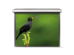 Banjado Briefkasten Edelstahl 38.5x31.5x12cm Ohne Zeitungsfach Inkl. Montagematerial Motiv Vogel Auf Tannenzweig