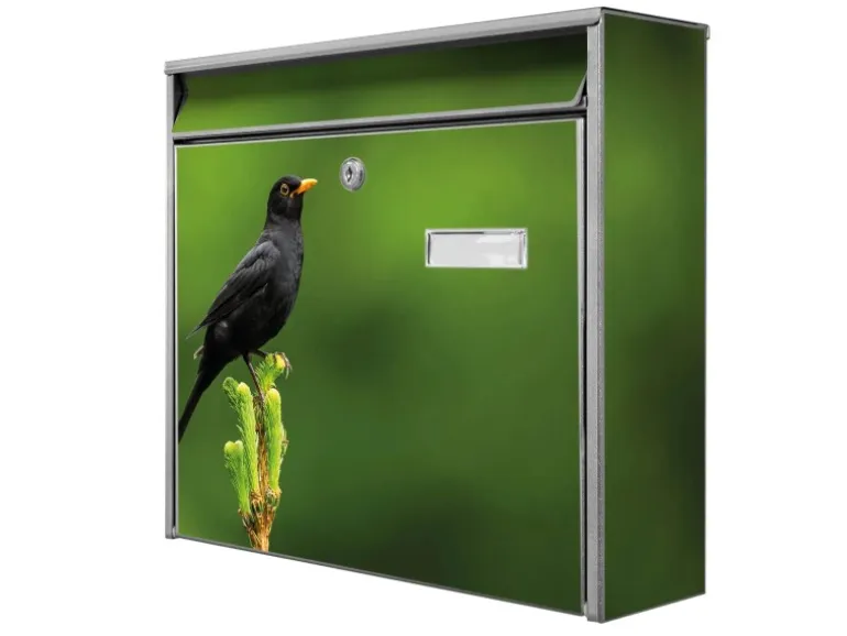 Banjado Briefkasten Silber 36.2x32.2x10cm Groß / Inkl. Montagematerial & 2 Schlüsseln / Mit Namensschild Motiv Vogel Auf Tannenzweig