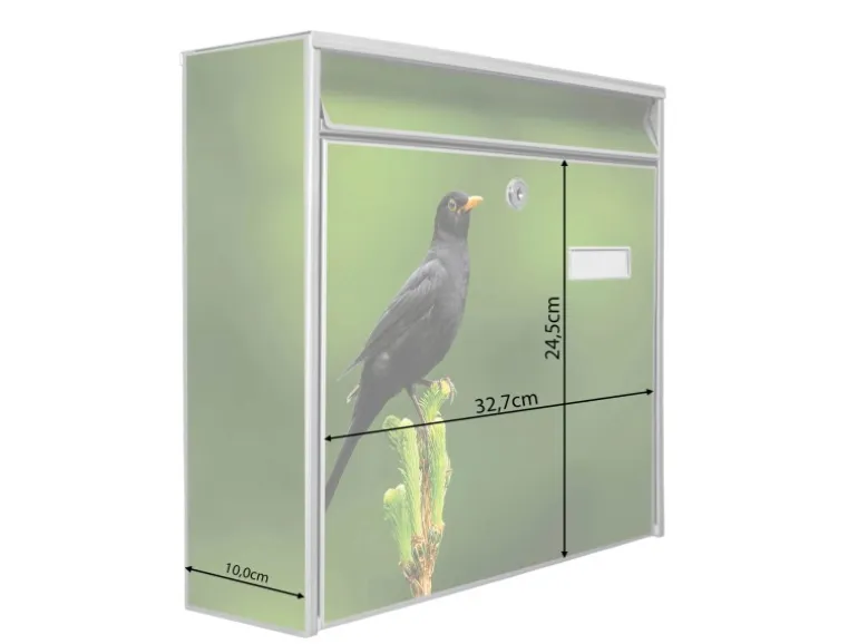 Banjado Briefkasten Silber 36.2x32.2x10cm Groß / Inkl. Montagematerial & 2 Schlüsseln / Mit Namensschild Motiv Vogel Auf Tannenzweig