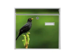 Banjado Briefkasten Weiß 36.2x32.2x10cm Groß / Inkl. Montagematerial & 2 Schlüsseln / Mit Namensschild Motiv Vogel Auf Tannenzweig