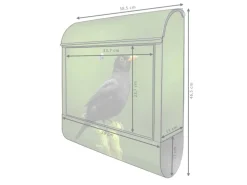 Banjado Design Briefkasten Schwarz Pulverbeschichtet 39x47x14cm 2 Schlüssel Mit Zeitungsfach Motiv Vogel Auf Tannenzweig