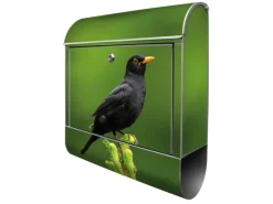 Banjado Design Briefkasten Silber Pulverbeschichtet 39x47x14cm 2 Schlüssel Mit Zeitungsfach Motiv Vogel Auf Tannenzweig