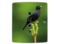 Banjado Design Schlüsselkasten Aus Edelstahl Für 10 Schlüssel 24x21,5x7cm Mit Magnetverschluss Motiv Vogel Auf Tannenzweig