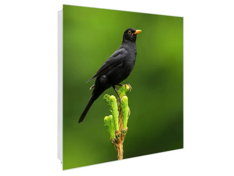 Banjado Großer Schlüsselkasten Glas 30x30cm Weiß Scharnier Rechts 50 Haken Beschreibbar Magnetisch Motiv Vogel Auf Tannenzweig