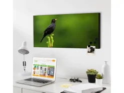 Banjado Magnettafel 78x37cm Magnetwand  Schwarz Aus Metall Magnetpinnwand Pinnwand Inkl. 4 Magnete Motiv Vogel Auf Tannenzweig