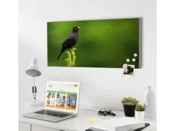 Banjado Magnettafel 78x37cm Magnetwand  Silber Aus Metall Magnetpinnwand Pinnwand Inkl. 4 Magnete Motiv Vogel Auf Tannenzweig