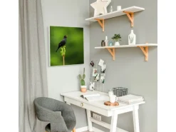 Banjado Magnettafel 50x50cm Magnetwand Weiß Aus Metall Magnetpinnwand Pinnwand Inkl. 4 Magnete Motiv Vogel Auf Tannenzweig