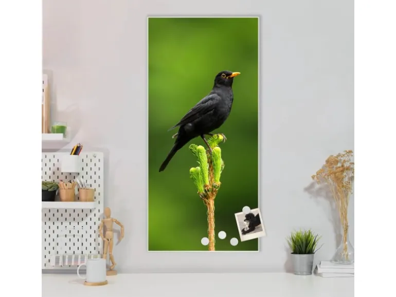 Banjado Magnettafel 37x78cm Magnetwand Weiß Aus Metall Magnetpinnwand Pinnwand Inkl. 4 Magnete Motiv Vogel Auf Tannenzweig