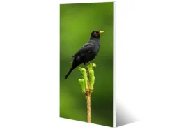 Banjado Magnettafel 37x78cm Magnetwand Weiß Aus Metall Magnetpinnwand Pinnwand Inkl. 4 Magnete Motiv Vogel Auf Tannenzweig