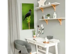 Banjado Magnettafel 37x78cm Magnetwand Weiß Aus Metall Magnetpinnwand Pinnwand Inkl. 4 Magnete Motiv Vogel Auf Tannenzweig