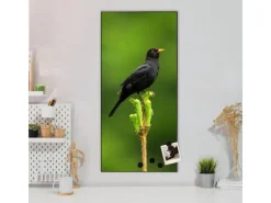 Banjado Magnettafel 37x78cm Magnetwand  Schwarz Aus Metall Magnetpinnwand Pinnwand Inkl. 4 Magnete Motiv Vogel Auf Tannenzweig