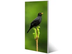 Banjado Magnettafel 37x78cm Magnetwand Silber Aus Metall Magnetpinnwand Pinnwand Inkl. 4 Magnete Motiv Vogel Auf Tannenzweig