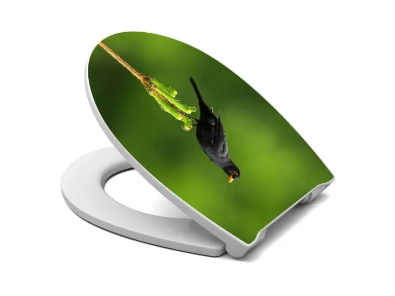 Banjado Premium Toilettendeckel Mit Absenkautomatik WC-Sitz Soft Close Hygienischer Klodeckel Duroplast Mit Motiv Vogel Auf Tannenzweig