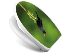 Banjado Toilettendeckel Mit Absenkautomatik WC-Sitz Soft Close Weiß Hygienischer Duroplast Leichte Montage Mit Motiv Vogel Auf Tannenzweig