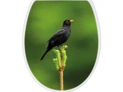 Banjado Toilettendeckel Mit Absenkautomatik WC-Sitz Soft Close Weiß Hygienischer Duroplast Leichte Montage Mit Motiv Vogel Auf Tannenzweig