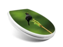 Banjado Toilettendeckel Mit Absenkautomatik WC-Sitz Soft Close Weiß Hygienischer Duroplast Leichte Montage Mit Motiv Vogel Auf Tannenzweig