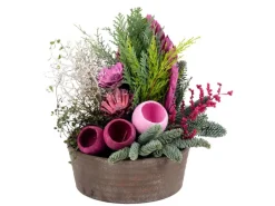 Basaltschale Pink mit Bepflanzung Länge 40 cm