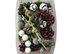 Bastelmix getrocknete Blätter, Blüten und Zapfen Grün Rot