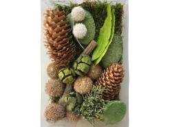 Bastelmix getrocknete Blätter, Blüten und Zapfen Grün Natural