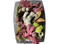 Bastelmix getrocknete Blätter, Blüten und Moos Mix