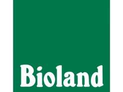 Blu Bio-Blauwichtel Topf-Ø ca. 10 cm Chamaecyparis pisifera