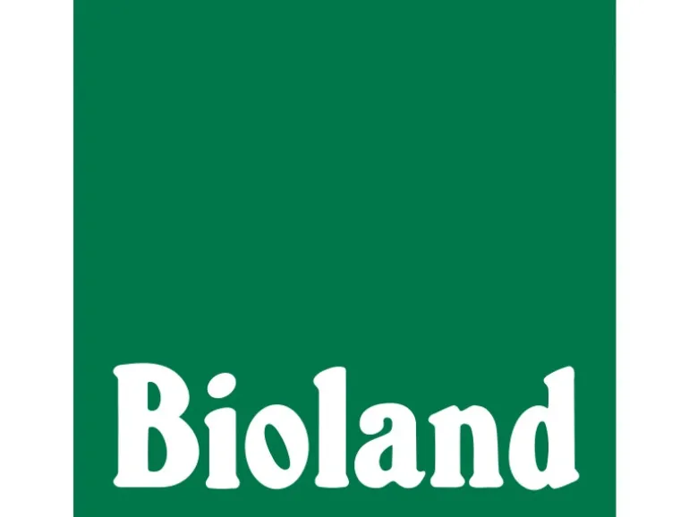 Blu Bio-Blauwichtel Topf-Ø ca. 10 cm Chamaecyparis pisifera