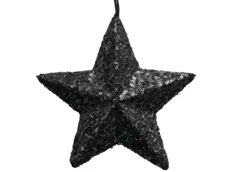 Boltze Dekoanhänger-Stern Noir 19 cm x 19 cm x 4 cm Schwarz