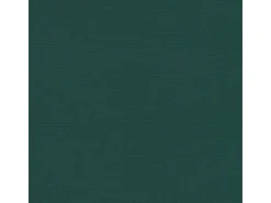 Bricoflor Uni Tapete in Tannengrün Schlafzimmer und Wohnzimmer Vliestapete in Dunkelgrün Vlies Unitapete Klassisch mit Vinyl Abwaschbar
