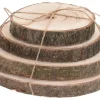 Deko Baumstammscheiben Birke Ø 14-20 cm 4er Set