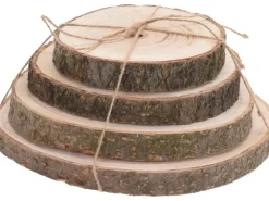 Deko Baumstammscheiben Birke Ø 14-20 cm 4er Set