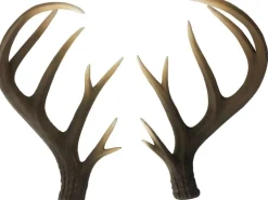 Deko-Geweih Hirsch 34 cm 2-tlg.