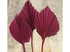 Deko-Pflanze Palm Spear Burgund