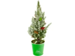 Dekorierte Zuckerhut-Fichte Kunstschnee im Zinkgefäß Topf Ø 15 cm Picea glauca