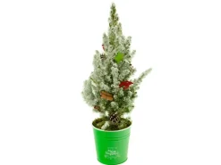 Dekorierte Zuckerhut-Fichte Kunstschnee im Zinkgefäß Topf Ø 15 cm Picea glauca