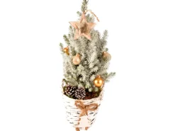 Dekorierte Zuckerhut-Fichte im Korbgefäß Topf Ø ca. 19,5 cm Picea glauca