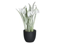 DPI Schneeglöckchen mit Eis und Glitzer 22 cm Weiß