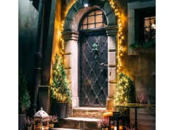 ECD Germany Solar Lichterkette Aussen 11m 560LED Warmweiß Timer 13Modi