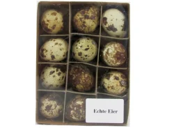 Echte Wachteleier Deko 12 Stück Natur
