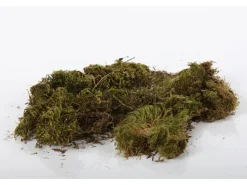 Flower Power Deko Moos Grün 50 g