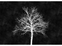 Fototapete Baum Wald Blackboard Schwarz Weiß 4,00 m x 2,70 m FSC®