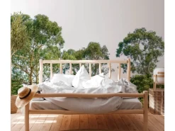 Fototapete Bäume Himmel Grün Braun 3,50 m x 2,55 m FSC®