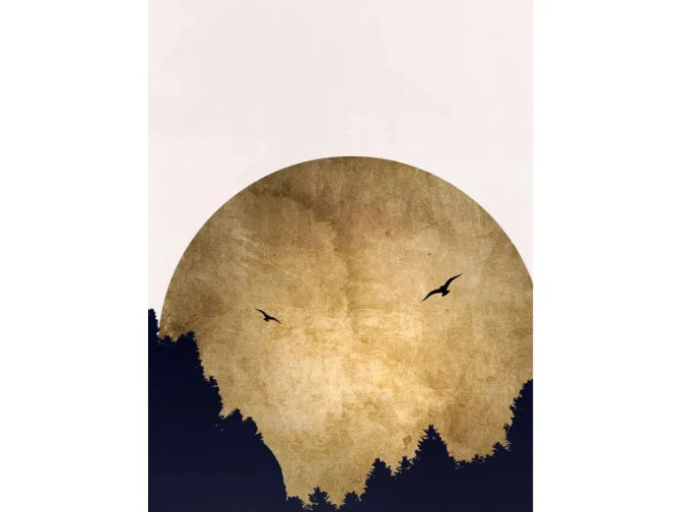 Fototapete Mond Wald Vögel Weiß Gold Schwarz 2,00 m x 2,80 m FSC®