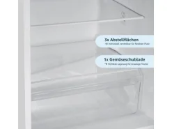 homeX Kühlschrank Mit Gefrierfach Kühl-Gefrierkombination Freistehend 173 Liter Nutzinhalt CFS1110-W Weiß