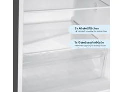 homeX Kühlschrank Mit Gefrierfach Kühl-Gefrierkombination Freistehend 173 Liter Nutzinhalt CFS1110-S Silber